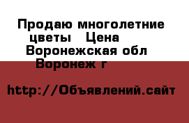 Продаю многолетние цветы › Цена ­ 50 - Воронежская обл., Воронеж г.  »    